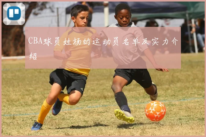 CBA球员姓杨的运动员名单及实力介绍