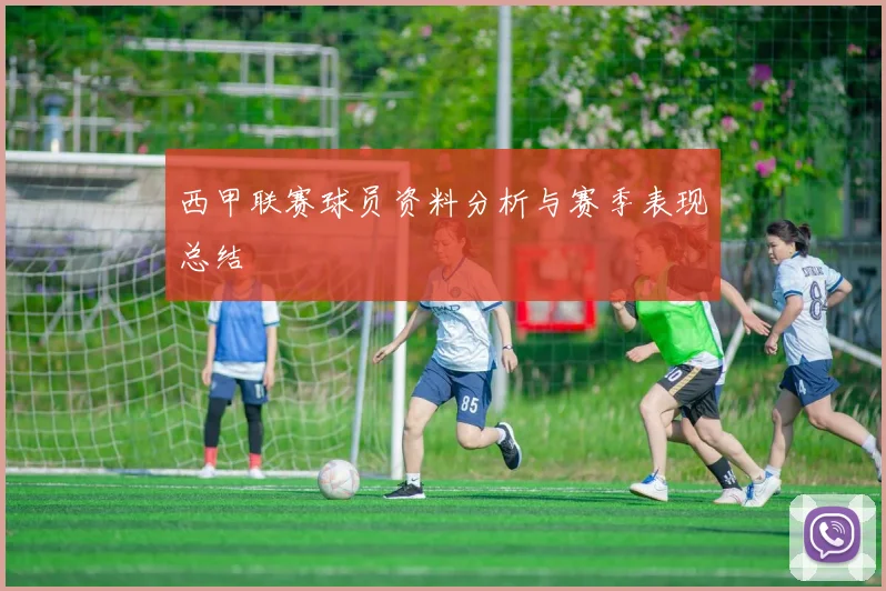 西甲联赛球员资料分析与赛季表现总结