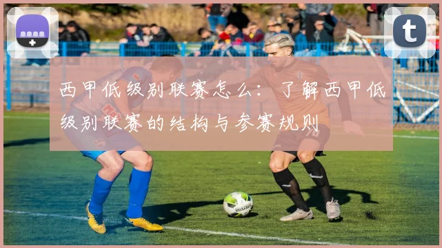 西甲低级别联赛怎么：了解西甲低级别联赛的结构与参赛规则