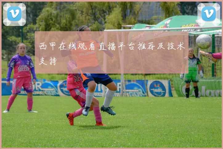 西甲在线观看直播平台推荐及技术支持