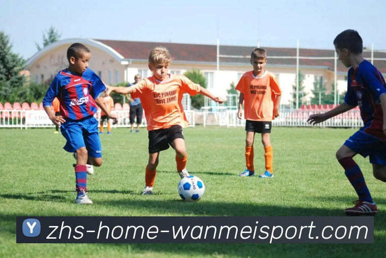 完美体育品牌故事